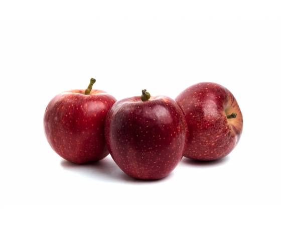 New Zealand Queen Apple