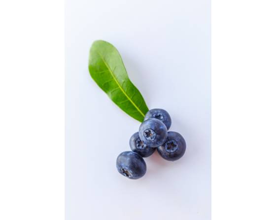 Peru Blueberry
