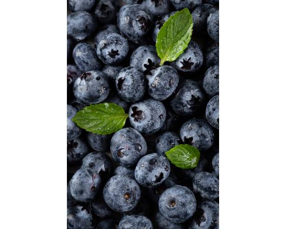 Poland Blueberry