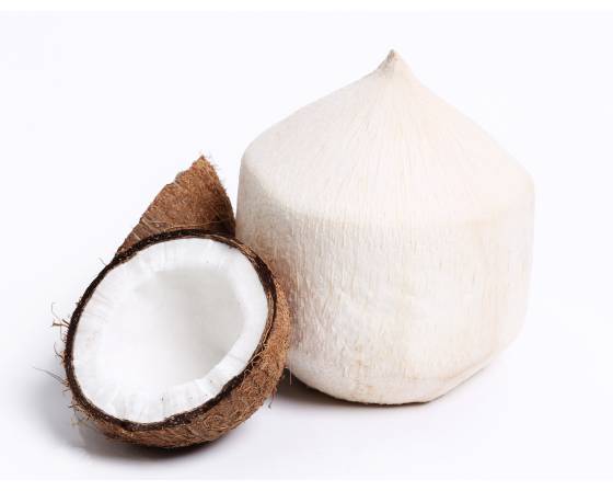 Thailand Coconut