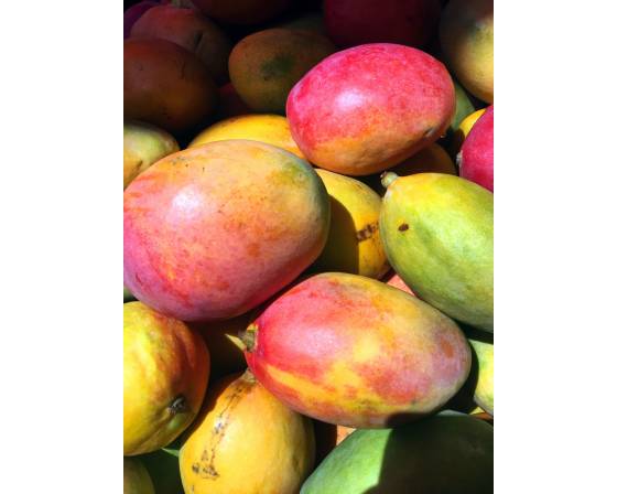 China Kai Te Mango