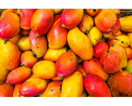Malaysia Gui Ni Mango