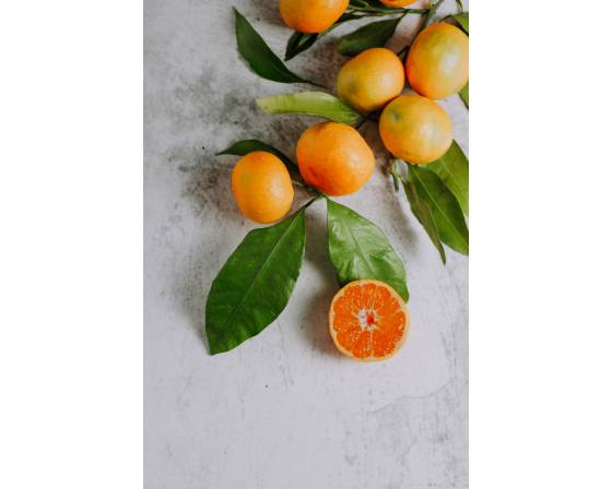 South Africa Naartjie Mandarin Orange