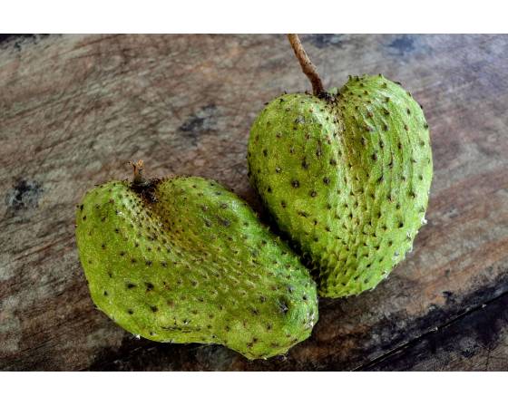 Malaysia Soursop