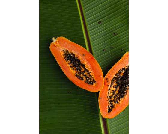 Malaysia Papaya
