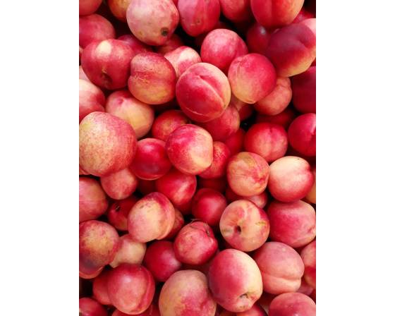 Australia Peach