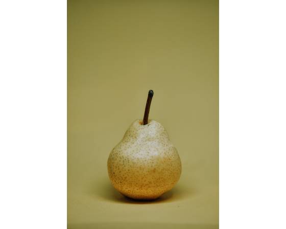 Korea Lan Shui Li Pear