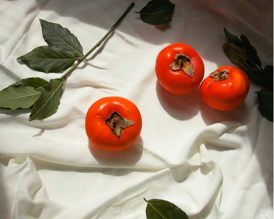 Australia Persimmon