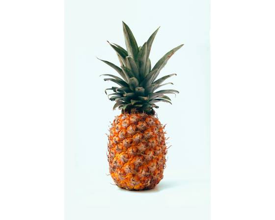 Malaysia Ben Zhen (Potian) Pineapple