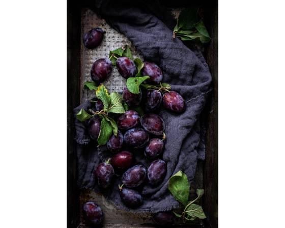 South Africa Black Plum